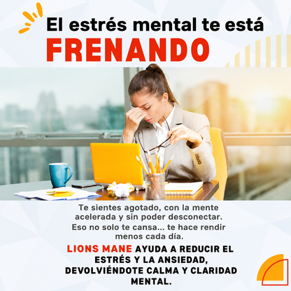 Melena de León Fortificada | Activa tu máximo potencial mental con cada cápsula.