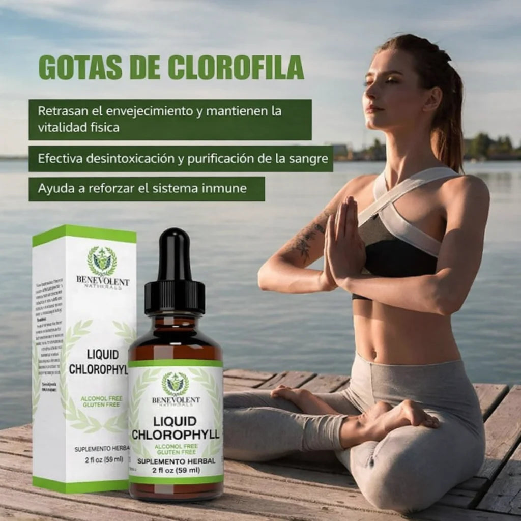 Clorofila Benevolent 60 ML | 💧 El detox que tu cuerpo pide a gritos