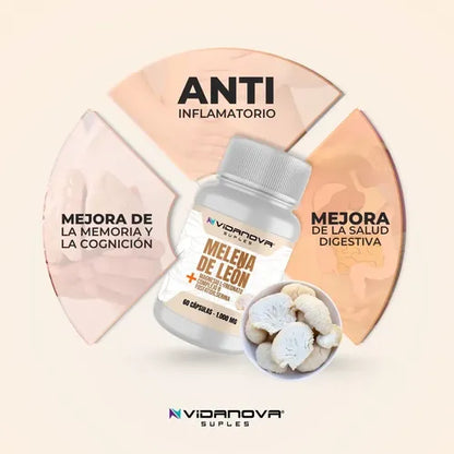 Melena de León Fortificada | Activa tu máximo potencial mental con cada cápsula.