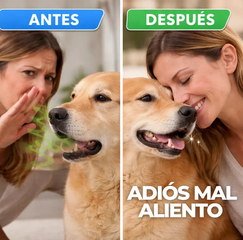 Oral Pet Spray Bucal Limpiador Mascotas | La forma más fácil de cuidar la higiene dental de tu mascota!