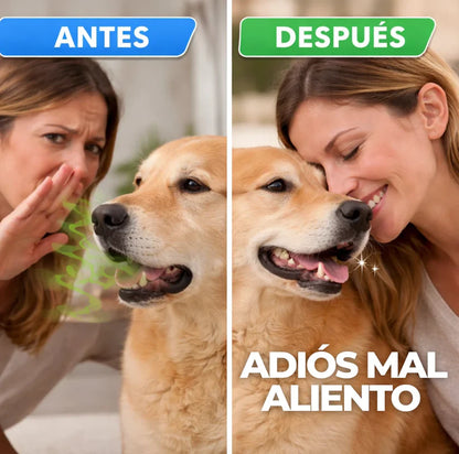 Oral Pet Spray Bucal Limpiador Mascotas | La forma más fácil de cuidar la higiene dental de tu mascota!