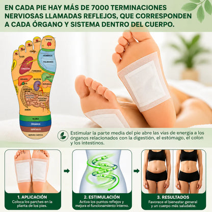 🔥Parches Desintoxicantes Kinoki (3 CAJAS) | Recupera vitalidad y energía sin esfuerzo!
