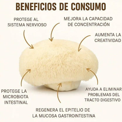 Melena de León Fortificada | Activa tu máximo potencial mental con cada cápsula.