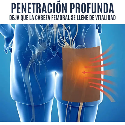 Parches Alivio Dolor Ciática